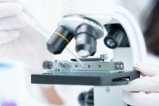 알테오젠, 떠오르는 바이오 신흥 강자 썸네일 이미지