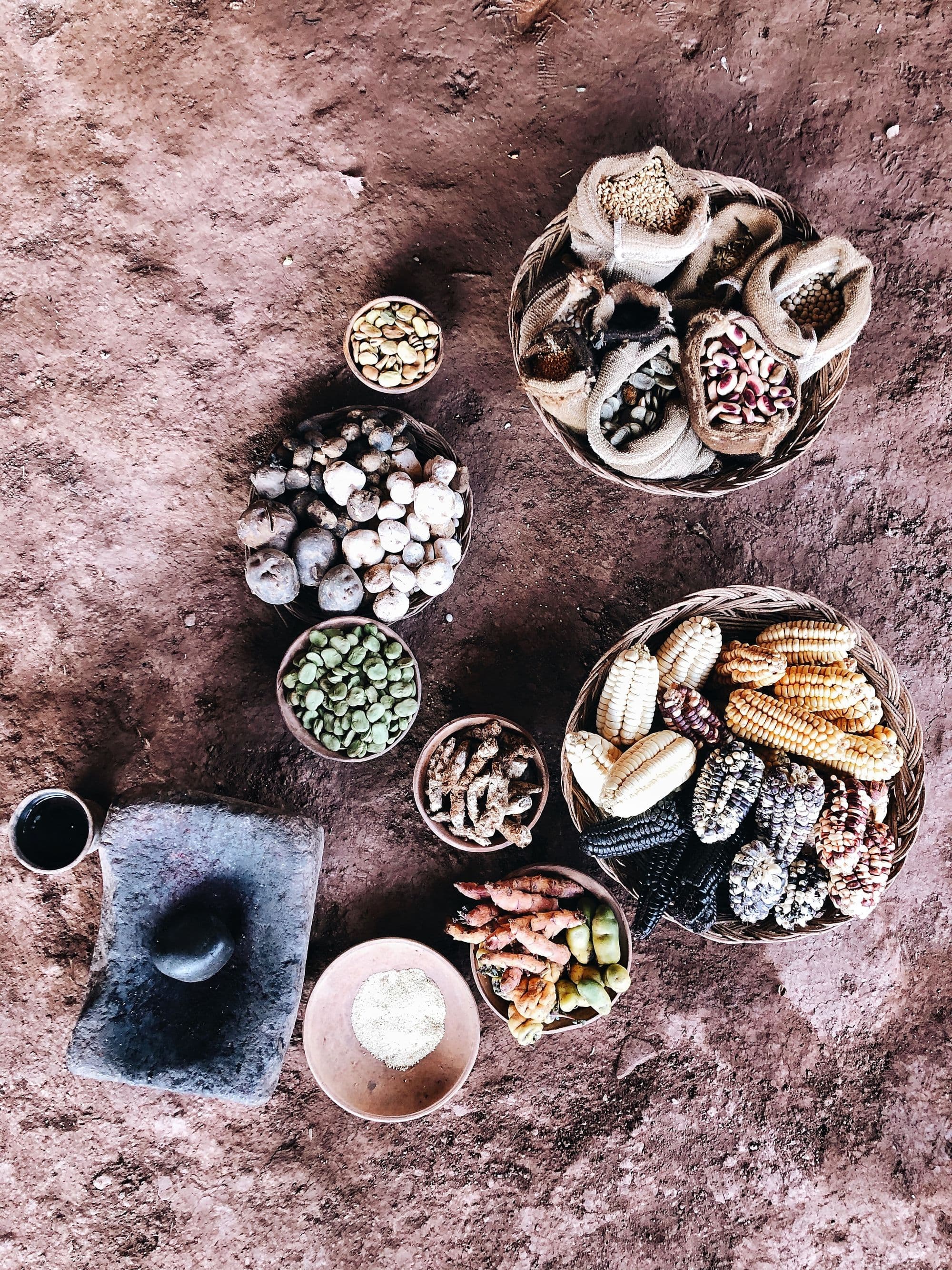  "선물"이 뭐길래 식품 가격을 결정해? 썸네일 이미지