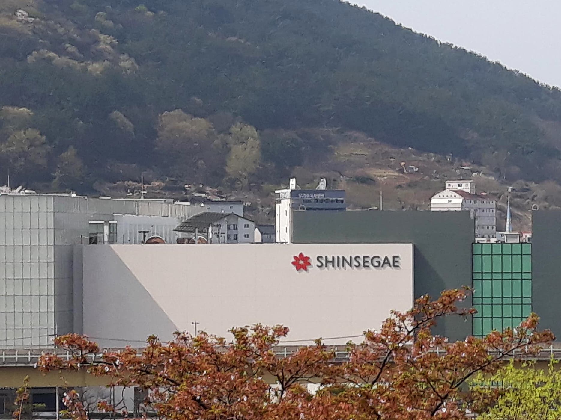 신세계그룹의 물갈이 인사, 앞으로는 좀 나아질까 썸네일 이미지